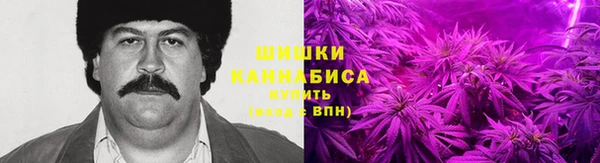 Альфа ПВП Аркадак