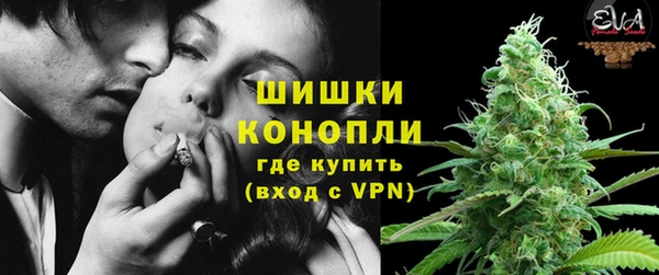Альфа ПВП Аркадак