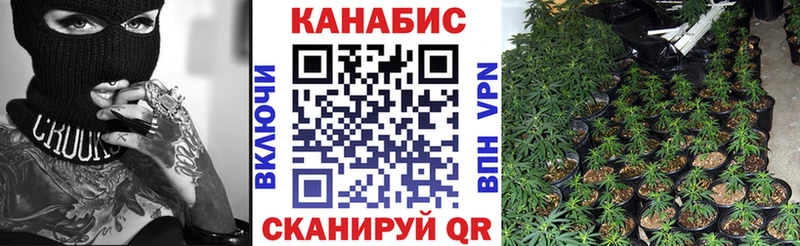 Марихуана конопля Инта